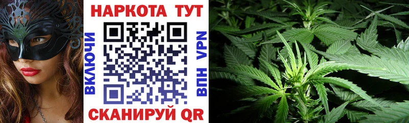 МЕФ Кодинск