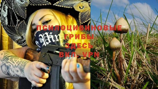 винт Балахна