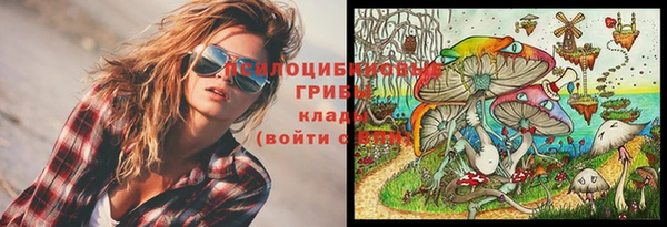 винт Балахна